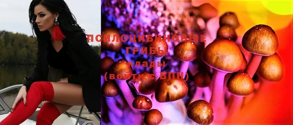 эйфоретик Алзамай