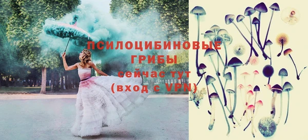эйфоретик Алзамай